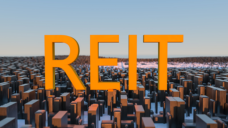 Home REIT publishes overdue 2023 results as board steps down